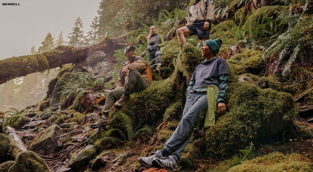 a group of people hiking in a mossy area